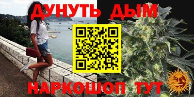 Альфа ПВП Будённовск