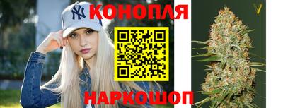 Альфа ПВП Будённовск