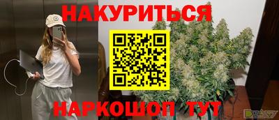 Альфа ПВП Будённовск