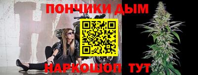 Альфа ПВП Будённовск